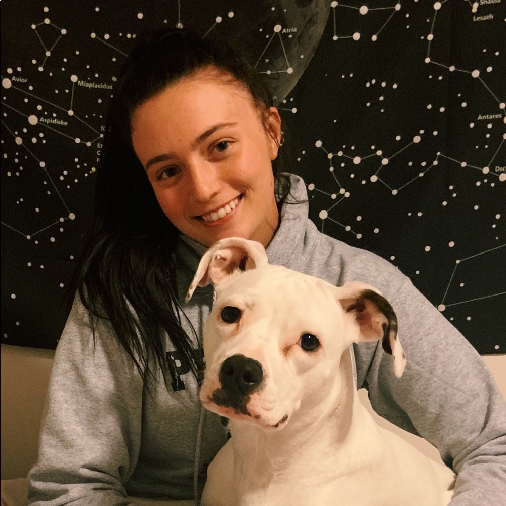 Meet your Posher, Sydney